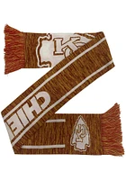 Forever Collectibles Kansas City Chiefs Big Logo Wordmark Mens Scarf