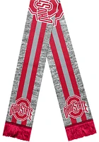 Forever Collectibles Ohio State Buckeyes Gray Big Logo Mens Scarf