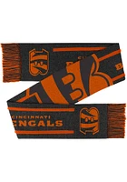 Forever Collectibles Cincinnati Bengals Charcoal Gray Mens Scarf