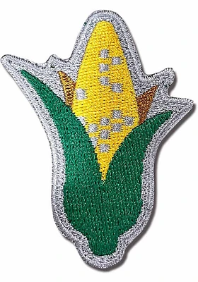 Nebraska Approx. 3 inch in size Patch