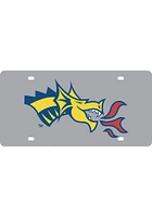 Drexel Dragons Blue Acrylic Logo Car Accessory License Plate