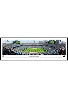 Blakeway Panoramas Carolina Panthers Football Standard Framed Posters