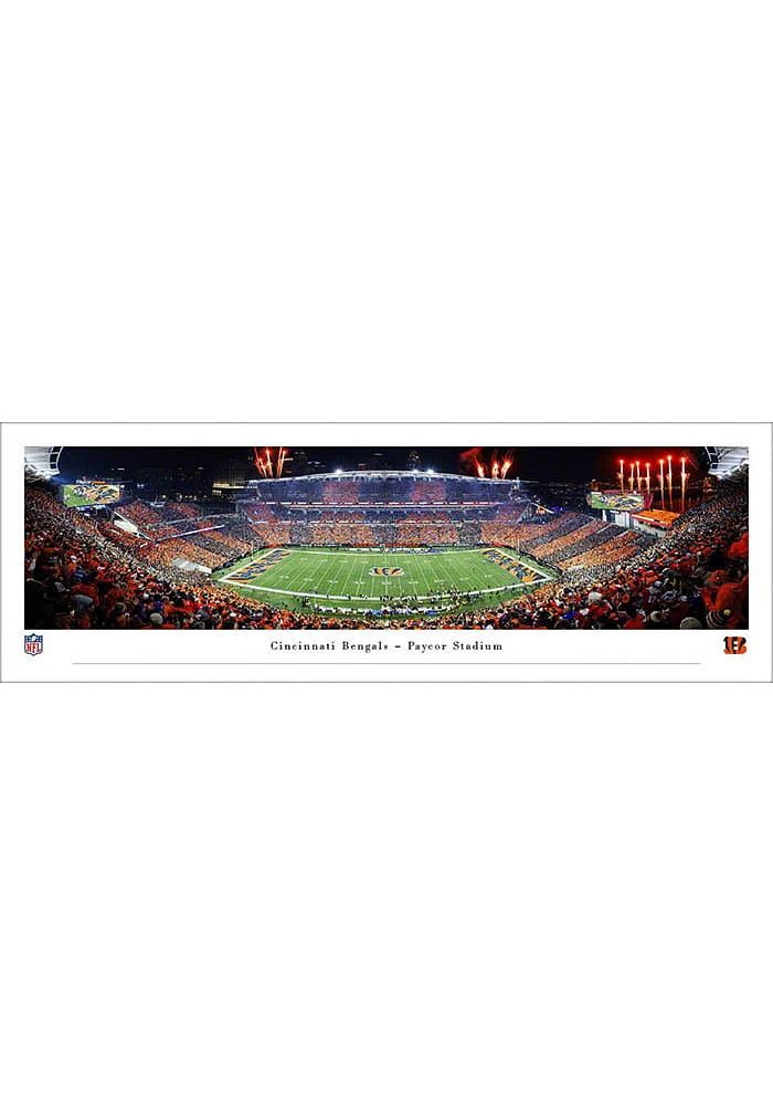 Blakeway Panoramas Cincinnati Bengals Stripe the Jungle Tubed Unframed Poster