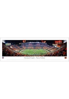 Blakeway Panoramas Cincinnati Bengals Stripe the Jungle Tubed Unframed Poster