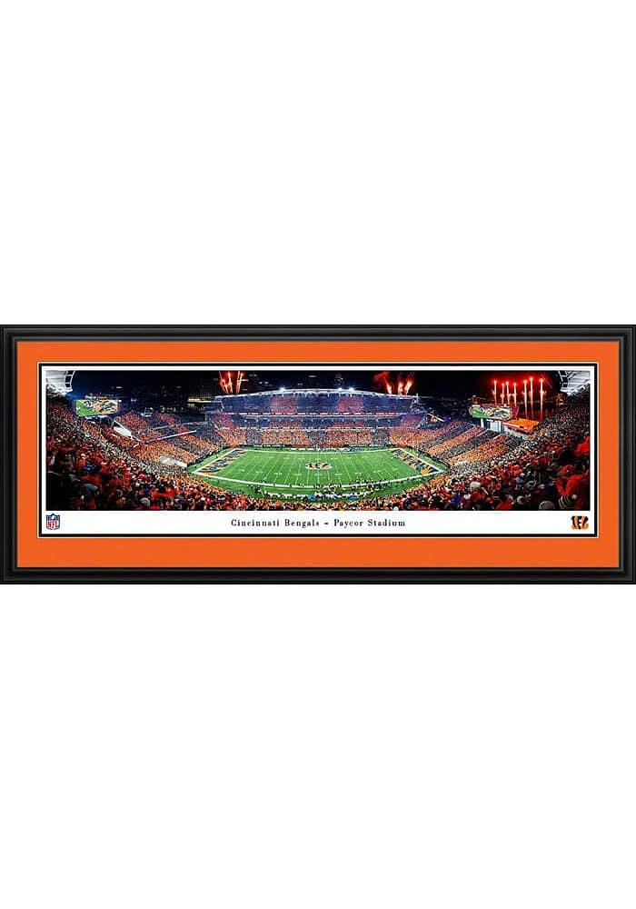 Blakeway Panoramas Cincinnati Bengals Stripe the Jungle Deluxe Framed Posters