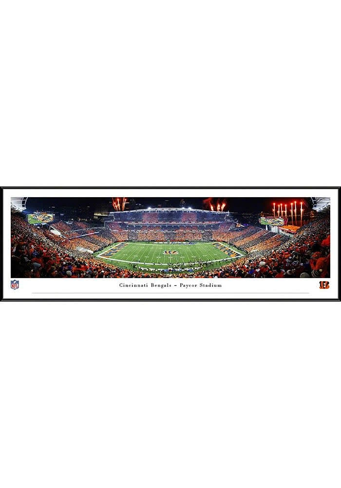 Blakeway Panoramas Cincinnati Bengals Stripe the Jungle Standard Framed Posters