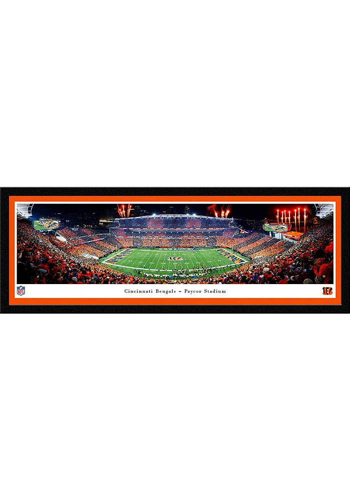 Blakeway Panoramas Cincinnati Bengals Stripe the Jungle Select Framed Posters