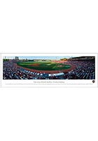 Blakeway Panoramas South Carolina Gamecocks Baseball Panorama Unframed Poster