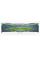 Blakeway Panoramas Miami Dolphins 50 Yard Line Unframed Unframed Poster