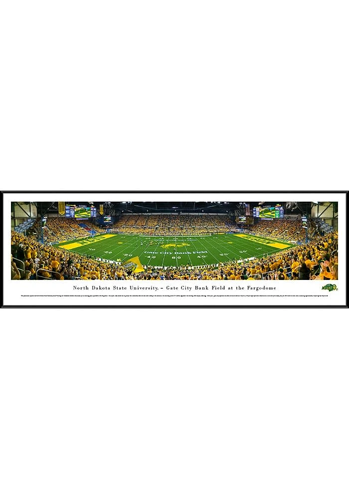 Blakeway Panoramas North Dakota State Bison 50 Yard Line Standard Framed Posters