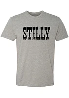 Summit Sportswear Stillwater Grey Stilly Wordmark Short Sleeve Fashion T Shirt