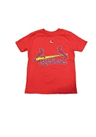 Matt Carpenter St Louis Cardinals Youth Red Player Tee