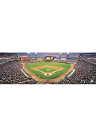 Chicago White Sox 100 Piece Pano Stadium Puzzle