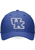 Nike Kentucky Wildcats Mens Swooshflex Flex Hat