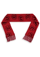 Chicago Fire Hue Mens Scarf