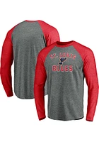 St Louis Blues Grey Special Edition Long Sleeve Fashion T Shirt