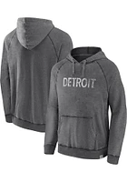 Detroit Red Wings Mens Fanwear Confidential Fashion Hood