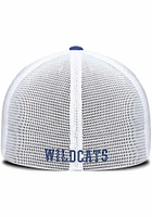 Nike Kentucky Wildcats Mens Rise Structured Futura Trucker Cap Flex Hat