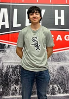 Nike Chicago White Sox Grey Large Logo Short Sleeve T Shirt