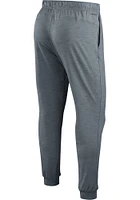 Nike Cleveland Browns Mens Grey SIDELINE DRI-FIT PLAYER Pants