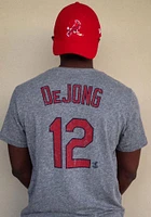 Paul DeJong St Louis Cardinals Grey Name and Number Short Sleeve Fashion Player T Shirt