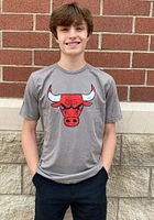 Chicago Bulls Grey PRIMARY Short Sleeve Fashion T Shirt