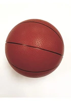 Iowa Hawkeyes Junior Adjustable Basketball Set