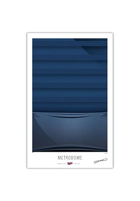 Minnesota Twins Metrodome 17x26 Ltd Ed Ballpark Wall Art