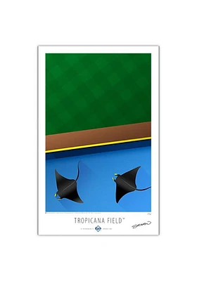 Tampa Bay Rays Tropicana Field 17x26 Ltd Ed Wall Art