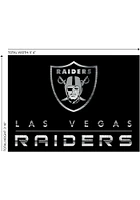 Las Vegas Raiders 4x6 Chrome Interior Rug - Black