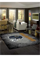 Chicago Bears 8x11 Distressed Interior Rug - Black