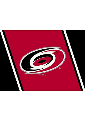 Carolina Hurricanes 4X6 Spirit Interior Rug - Black