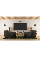 Iowa Hawkeyes 6x8 Homefield Interior Rug - Black