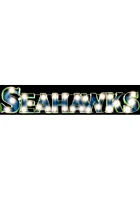 Seattle Seahawks Recycled Metal Marquee Sign