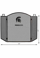 Michigan State Spartans Fireplace Screen Fire Pit Supplies