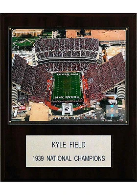 Texas A&M Aggies 12x15 Stadium Photo Plaque
