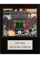 Texas A&M Aggies 12x15 Stadium Photo Plaque