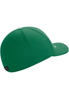 Nike North Texas Mean Green Mens Green DRI-FIT Sideline C99 Swooshflex Flex Hat