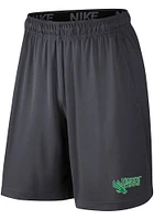 Nike North Texas Mean Green Mens Grey Fly Knit 2.0 Shorts