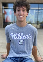 Nike K-State Wildcats Grey 2019 Basketball Short Sleeve Fashion T Shirt