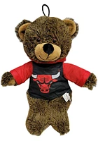 Chicago Bulls 9 inch Jersey Bear Plush - Brown