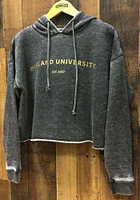 Oakland University Golden Grizzlies Womens Charcoal Campus Hooded Sweatshirt