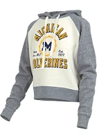 Pressbox Michigan Wolverines Womens Grey Cody Hooded Sweatshirt