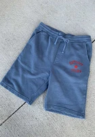 Rally Detroit Stars Mens Navy Blue Number 1 Graphic Shorts