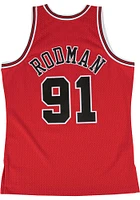Dennis Rodman Chicago Bulls Profile Throwback #91 Swingman Jersey