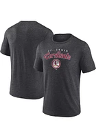 St Louis Cardinals Mens Grey Wonderment Big and Tall T-Shirt