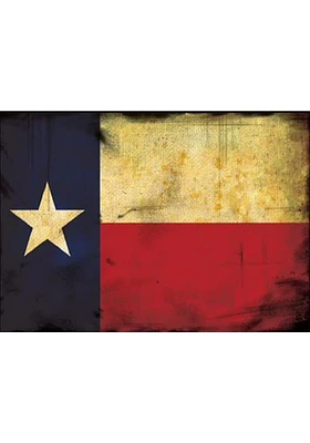 Texas Glitter State Flag Magnet