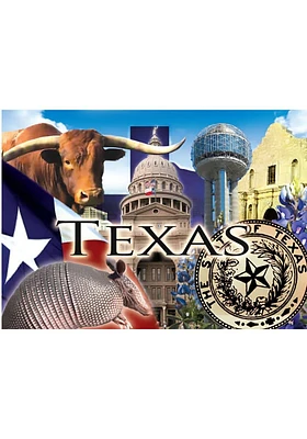 Texas Symbols Magnet