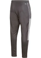 Adidas Indiana Hoosiers Mens Grey Tiro21 Primary Logo Pants