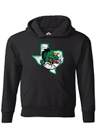 Rally Carroll High School Dragons Youth Black Primary Logo Distressed Long Sleeve Hoodie
